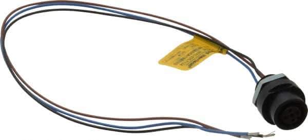 Brad Harrison - 4 Amp, M12 Female Straight Receptacle - 250 VAC/VDC, 0.31m Cable Length, IP67 Ingress Rating - USA Tool & Supply