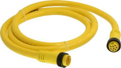 Brad Harrison - 7 Amp, Female Straight, Male Straight Cordset Sensor and Receptacle - 600 Volt, 1.83m Cable Length, IP67 Ingress Rating - USA Tool & Supply