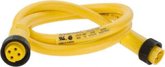 Brad Harrison - 10 Amp, Female Straight, Male Straight Cordset Sensor and Receptacle - 600 Volt, 0.91m Cable Length, IP67 Ingress Rating - USA Tool & Supply