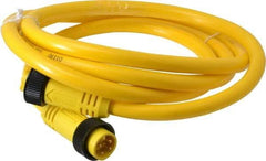 Brad Harrison - 10 Amp, Female Straight, Male Straight Cordset Sensor and Receptacle - 600 Volt, 1.83m Cable Length, IP67 Ingress Rating - USA Tool & Supply