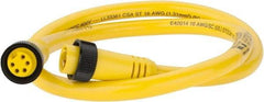 Brad Harrison - 8 Amp, Female Straight, Male Straight Cordset Sensor and Receptacle - 600 Volt, 0.91m Cable Length, IP67 Ingress Rating - USA Tool & Supply