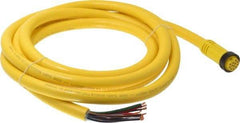 Brad Harrison - 5 Amp, Female Straight to Pigtail Cordset Sensor and Receptacle - 600 Volt, 3.66m Cable Length, IP67 Ingress Rating - USA Tool & Supply