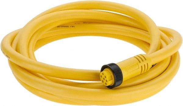 Brad Harrison - 8 Amp, Female Straight to Pigtail Cordset Sensor and Receptacle - 600 Volt, 3.66m Cable Length, IP67 Ingress Rating - USA Tool & Supply