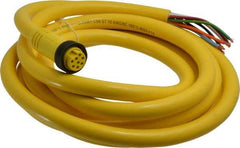 Brad Harrison - 7 Amp, Female Straight to Pigtail Cordset Sensor and Receptacle - 600 Volt, 3.66m Cable Length, IP67 Ingress Rating - USA Tool & Supply