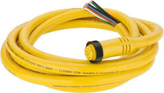 Brad Harrison - 7 Amp, Female Straight to Pigtail Cordset Sensor and Receptacle - 600 Volt, 3.66m Cable Length, IP67 Ingress Rating - USA Tool & Supply