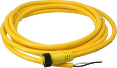 Brad Harrison - 13 Amp, Female Straight to Pigtail Cordset Sensor and Receptacle - 600 Volt, 3.66m Cable Length, IP67 Ingress Rating - USA Tool & Supply