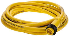 Brad Harrison - 13 Amp, Male Straight to Pigtail Cordset Sensor and Receptacle - 600 Volt, 3.66m Cable Length, IP67 Ingress Rating - USA Tool & Supply