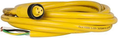 Brad Harrison - 13 Amp, Female Straight to Pigtail Cordset Sensor and Receptacle - 600 Volt, 3.66m Cable Length, IP67 Ingress Rating - USA Tool & Supply