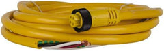 Brad Harrison - 10 Amp, Female Straight to Pigtail Cordset Sensor and Receptacle - 600 Volt, 3.66m Cable Length, IP67 Ingress Rating - USA Tool & Supply