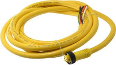 Brad Harrison - 8 Amp, Female Straight to Pigtail Cordset Sensor and Receptacle - 600 Volt, 3.66m Cable Length, IP67 Ingress Rating - USA Tool & Supply