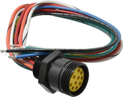 Brad Harrison - 7 Amp, Female Straight Receptacle - 600 VAC/VDC, 0.31m Cable Length, IP67 Ingress Rating - USA Tool & Supply