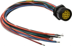 Brad Harrison - 8 Amp, Female Straight Receptacle - 600 VAC/VDC, 0.31m Cable Length, IP67 Ingress Rating - USA Tool & Supply