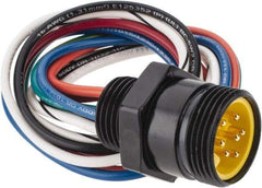 Brad Harrison - 8 Amp, Male Straight Receptacle - 600 VAC/VDC, 0.31m Cable Length, IP67 Ingress Rating - USA Tool & Supply