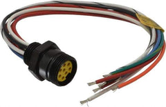 Brad Harrison - 7 Amp, Female Straight Receptacle - 600 VAC/VDC, 0.31m Cable Length, IP67 Ingress Rating - USA Tool & Supply