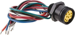 Brad Harrison - 7 Amp, Female Straight Receptacle - 600 VAC/VDC, 0.31m Cable Length, IP67 Ingress Rating - USA Tool & Supply