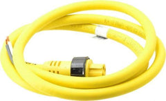 Brad Harrison - 15 Amp, Female Straight to Pigtail Cordset Sensor and Receptacle - 600 Volt, 1.83m Cable Length, IP67 Ingress Rating - USA Tool & Supply