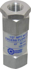 Coilhose Pneumatics - 1/2" Aluminum Check Valve - Inline, FPT x FPT - USA Tool & Supply