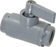 Specialty Mfr - 1/4" Pipe, PVC Standard Ball Valve - Inline - Two Way Flow, FNPT x FNPT Ends, Wedge Handle, 125 WOG - USA Tool & Supply