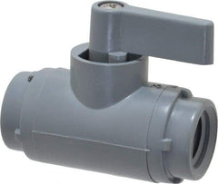 Specialty Mfr - 1/4" Pipe, PVC Standard Ball Valve - Inline - Two Way Flow, FNPT x FNPT Ends, Wedge Handle, 125 WOG - USA Tool & Supply