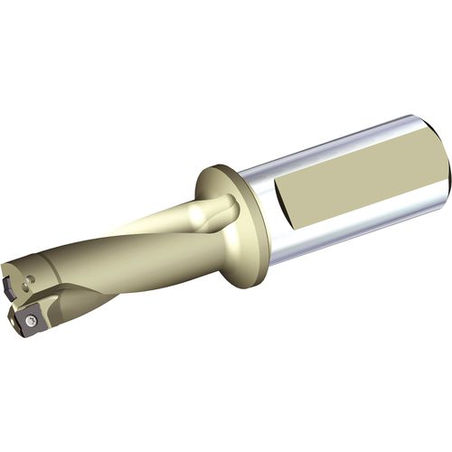 TCF0969R2SSF100D DIA .969IN 2XD