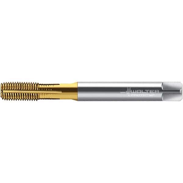 Walter-Prototyp - M6x1.00 DIN 2174 6HX 5.590 Thread Limit Semi-Bottoming Thread Forming Tap - Powdered Metal High Speed Steel, TiN Finish, 80mm OAL, 10mm Thread Length, Right Hand Thread, Series TC420 - USA Tool & Supply