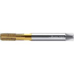 Walter-Prototyp - M6x1.00 DIN 2174 6HX 5.590 Thread Limit Semi-Bottoming Thread Forming Tap - Powdered Metal High Speed Steel, TiN Finish, 80mm OAL, 10mm Thread Length, Right Hand Thread, Series TC420 - USA Tool & Supply