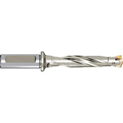 Replaceable Tip Drill: 1.2598 to 1.2969'' Drill Dia, 10.3906″ Max Depth Seat Size 0.4020, Through Coolant