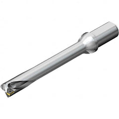 Sandvik Coromant - Indexable Insert Drills Drill Style: DS20 Drill Diameter (mm): 31.00 - USA Tool & Supply