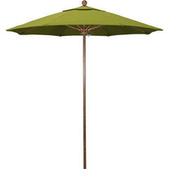 Patio Umbrellas; Diameter (Feet): 7.5; Height (Feet): 8.000; Fabric Color: Kiwi; Base Included: No; Canopy Fabric: Olefin; Fade Resistant: Yes; Additional Information: Push Lift; Frame Material: Aluminum