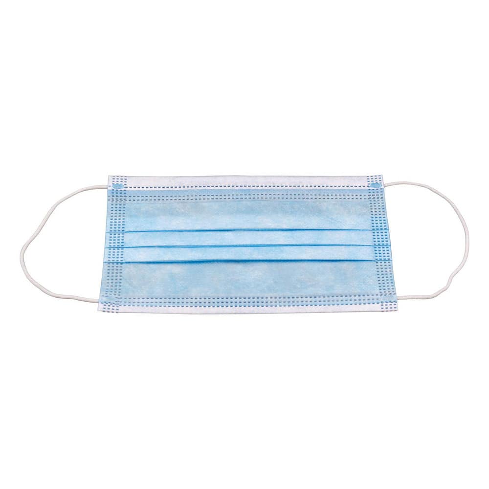Disposable Face Mask: Contains Nose Clip, Size Medium/Large