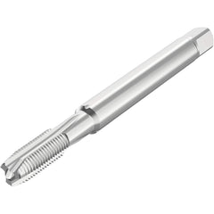 Seco - Spiral Point Taps Thread Size (mm): M5 Number of Flutes: 3 - USA Tool & Supply