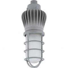 Hubbell Lighting - Hazardous Location Light Fixtures Resistance Features: Vaporproof Recommended Environment: Indoor; Outdoor - USA Tool & Supply