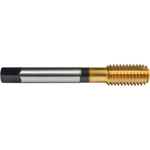 ‎3/8″- 16 Union Butterfield HSS-PM TiN Applix UNC UNC Machine Forming Tap ANSI E-code # 16413/8X16H7 - Exact Industrial Supply