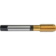 ‎1/4″- 28 Union Butterfield HSS-PM TiN Applix UNF UNF Machine Forming Tap ANSI E-code # 16411/4X28H4 - Exact Industrial Supply