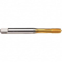 Emuge - 1/4-20 UNC 2BX Bottoming Thread Forming Tap - USA Tool & Supply