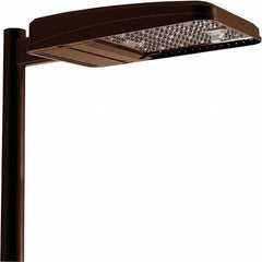 Hubbell Lighting - Parking Lot & Roadway Lights Fixture Type: Area Light Lamp Type: LED - USA Tool & Supply
