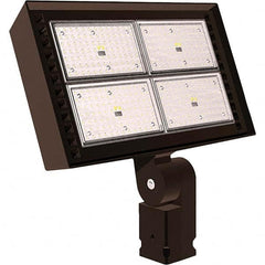 Hubbell Lighting - Floodlight Fixtures Mounting Type: Trunnion Mount Housing Color: Bronze - USA Tool & Supply