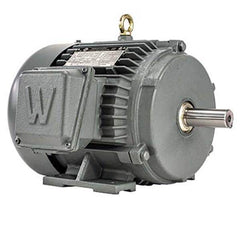 Worldwide Electric - Electric AC/DC Motors Motor Type: Premium Efficient Type of Enclosure: TEFC - USA Tool & Supply