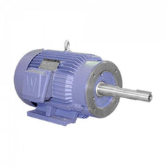 Worldwide Electric - Electric AC/DC Motors Motor Type: Premium Efficient Type of Enclosure: TEFC - USA Tool & Supply