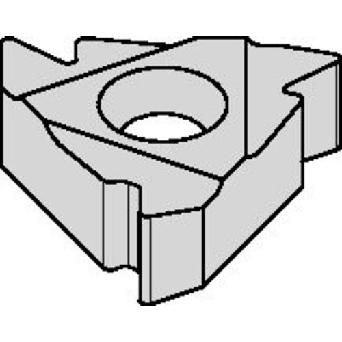 2ERA60 TN6025 INSERT - USA Tool & Supply