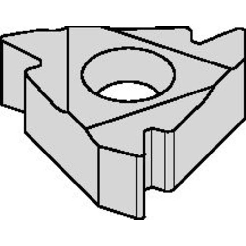2IRA55 TN6025 INSERT - USA Tool & Supply