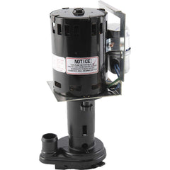 Hartell - Machine Tool & Recirculating Pumps Phase: Single Voltage: 230V - USA Tool & Supply