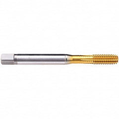 Emuge - 1-8 UNC 2B Modified Bottoming Thread Forming Tap - USA Tool & Supply
