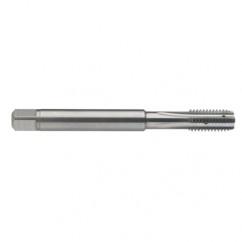 M5 x 0.8 Dia. - 6H - 4 FL - Carbide Semi-Bott Tap - Bright Finish-Coolant-Thru-FORM-C - USA Tool & Supply