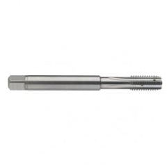 M10 x 1.5 Dia. - 6H - 4 FL - Carbide Semi-Bott Tap - Bright Finish-Coolant-Thru-FORM-C - USA Tool & Supply