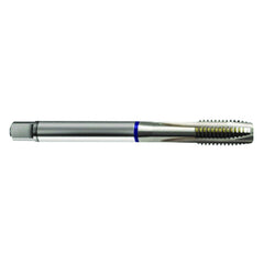 M4 x .70 3FL 6H Cobalt Spiral Point Plug Blue Ring Tap-Bright FORM-B DIN 376 - USA Tool & Supply