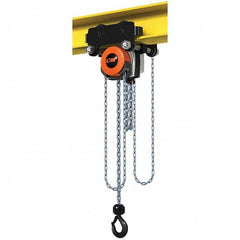CM - 4,409 Lb Capacity, 20' Lift Height, Manual Chain Hoist - USA Tool & Supply