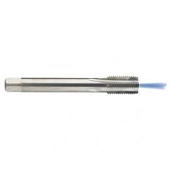 M12 x 1.75 Dia. - 6H - 4 FL - Carbide Semi-Bott Tap - Bright Finish-Coolant-Thru-FORM-C - USA Tool & Supply