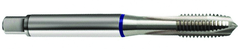 3/8-16 Dia. - 2B - 4 FL - Cobalt Semi-Bott White Ring Tap - Blk-Ox FORM-C DIN 371 - USA Tool & Supply