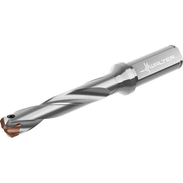 Walter - 18 to 18.99mm Diam, 5xD, 125mm Max Depth, 20mm Shank Diam, 178mm OAL, Replaceable Tip Drill - P6001-D18..R, P6003-D18..R, P6004-D18..R, P6005-D18..R Insert, D4140 Toolholder, Series D4140 - USA Tool & Supply